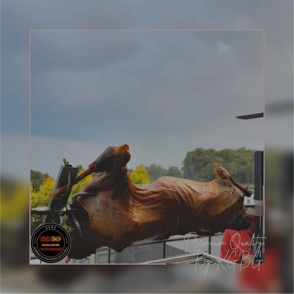 Kambing Guling Singaparna,Kambing Guling,Singaparna,